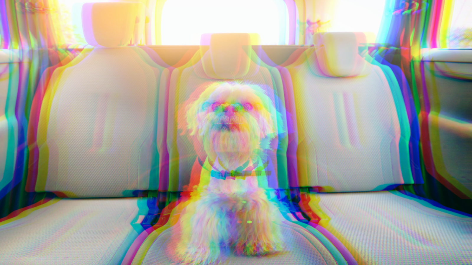 Protecting children and pets: Innovative metasurface prevents cars from overheating